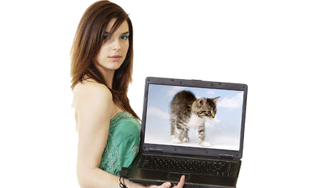kattenplaatjes