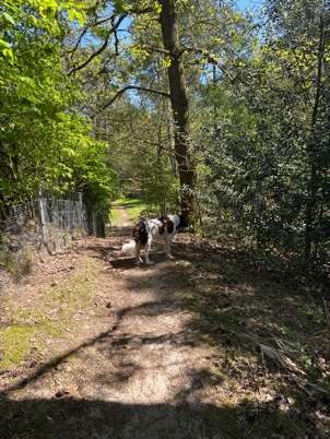 moos panbos